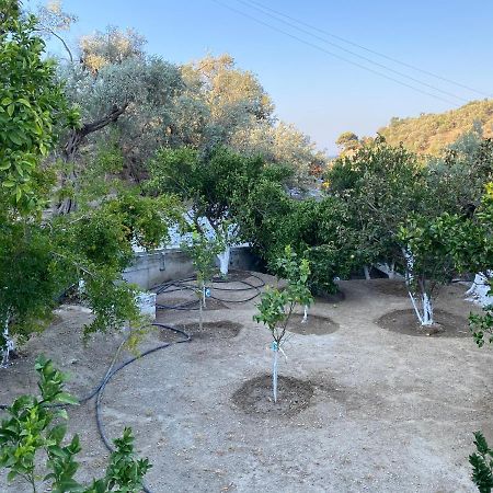 Appartement House With Beautiful Garden In Plomari Extérieur photo