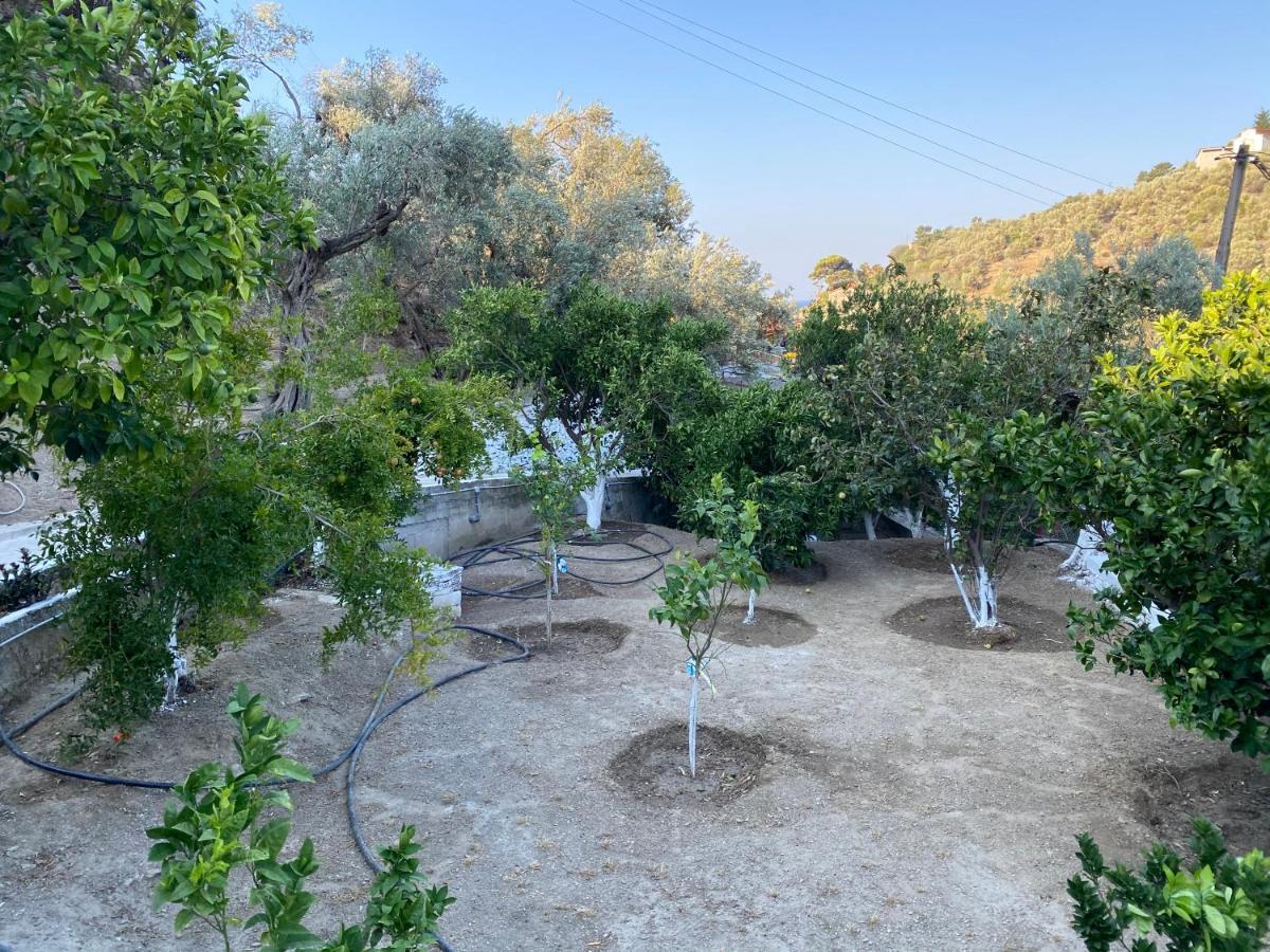 Appartement House With Beautiful Garden In Plomari Extérieur photo