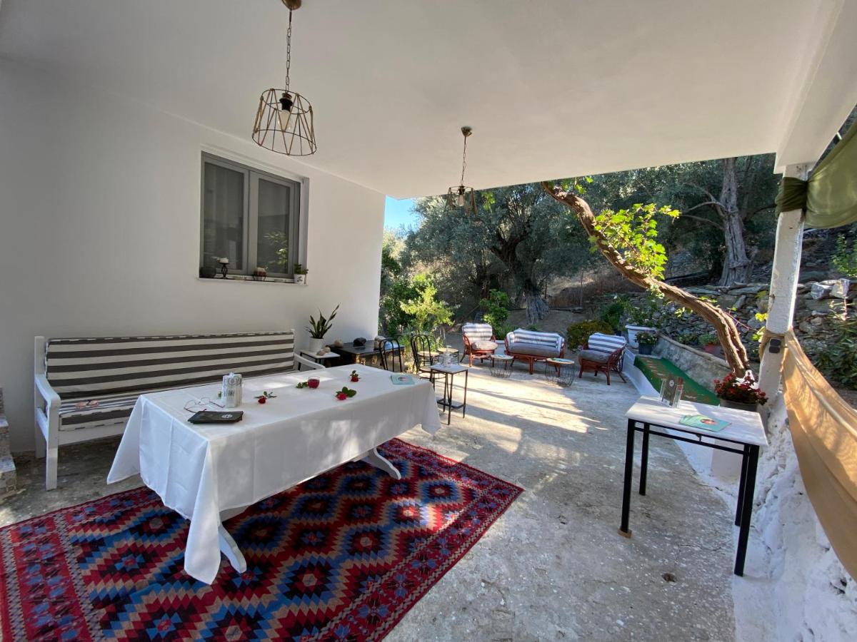 Appartement House With Beautiful Garden In Plomari Extérieur photo
