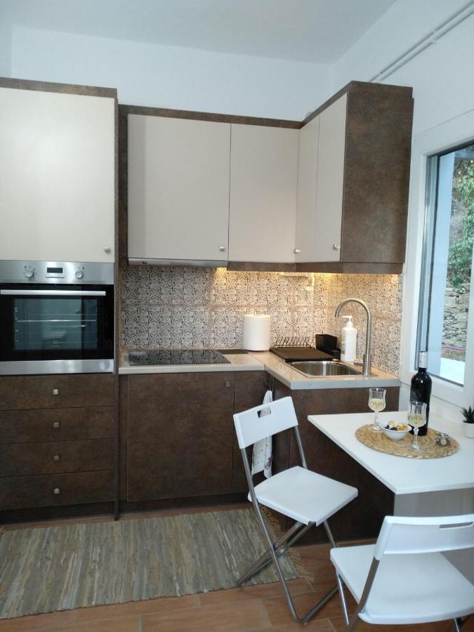 Appartement House With Beautiful Garden In Plomari Extérieur photo