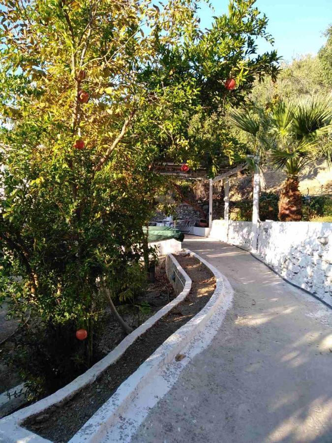 Appartement House With Beautiful Garden In Plomari Extérieur photo