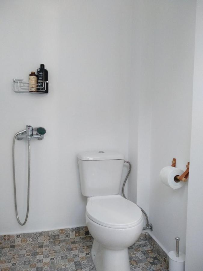 Appartement House With Beautiful Garden In Plomari Extérieur photo